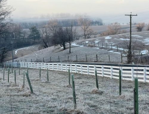 Mud Season on a Regenerative Farm: Preparing Soil, Seeds, and Pastures for Spring